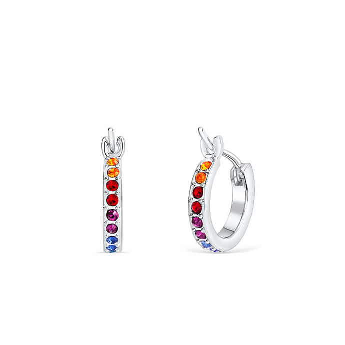 Rainbow Hoop Earrings